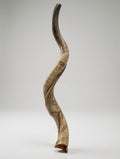Shofar 3